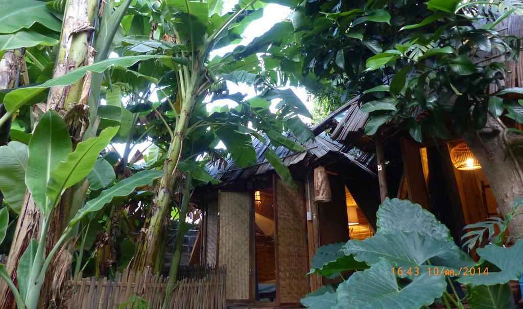 Bluebird Eco Village Chiang Mai Exterior foto