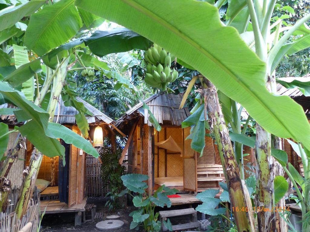 Bluebird Eco Village Chiang Mai Exterior foto